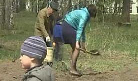 В наукограде появилась кедровая "Аллея Семьи"